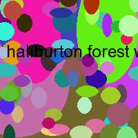 haliburton forest wildlife reserve